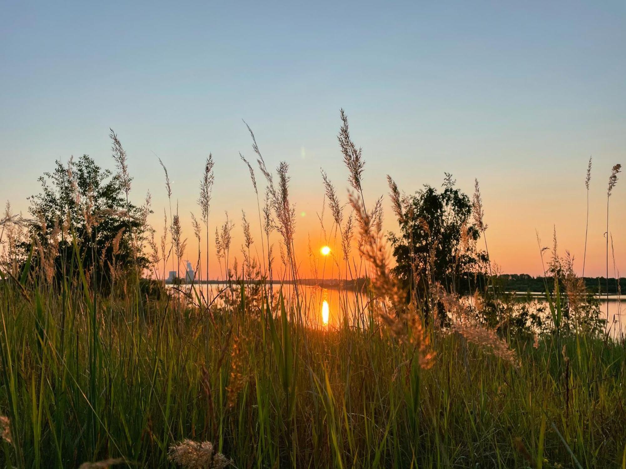 Haus Im Schilf 1 - Ferienwohnungen Am Hainer See Bei Leipzig Neukieritzsch Buitenkant foto