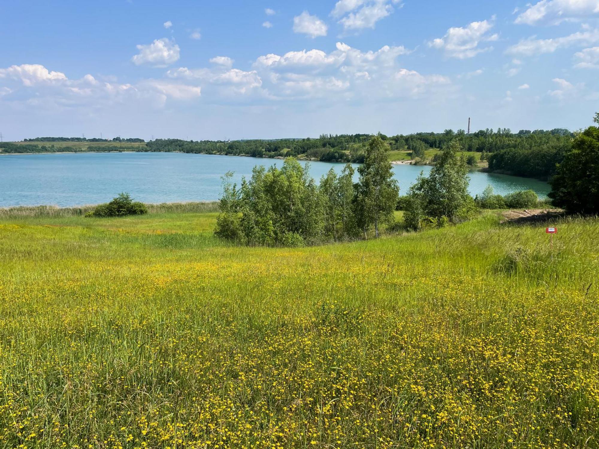 Haus Im Schilf 1 - Ferienwohnungen Am Hainer See Bei Leipzig Neukieritzsch Buitenkant foto